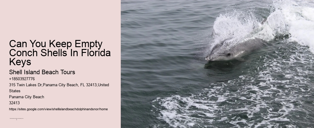 Sharks Check For Dolphins Before Nodding Off