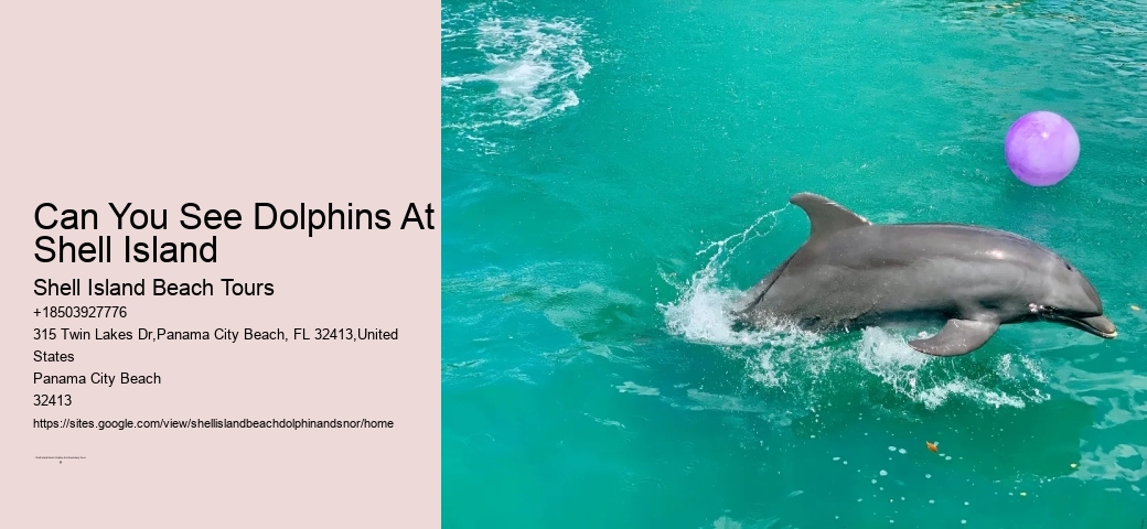 Will Dolphins Save You From Sharks