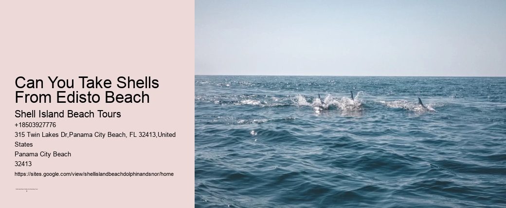 How Long Should You Snorkel For