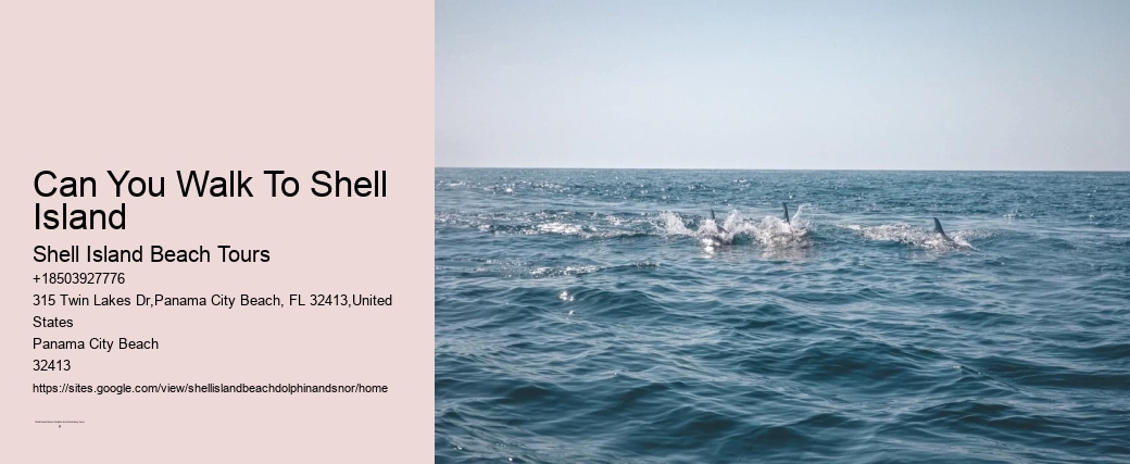 Can You Walk To Shell Island