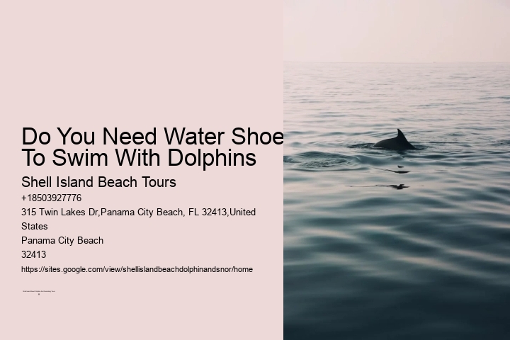 Do You Need Water Shoes To Swim With Dolphins