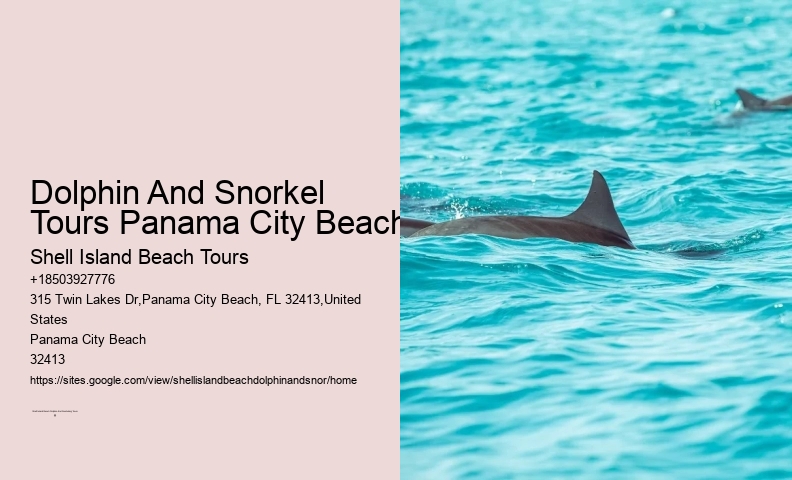 Does Seeing Dolphins Mean No Sharks