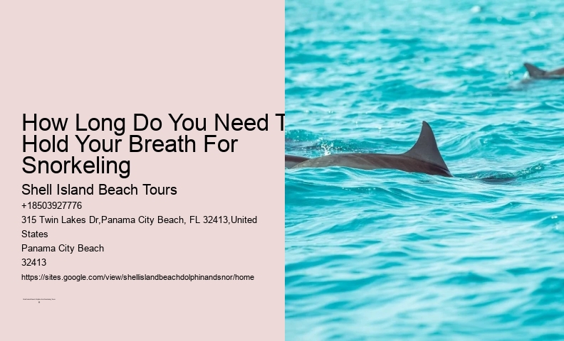 Where Is The Best Place To Snorkel For Beginners