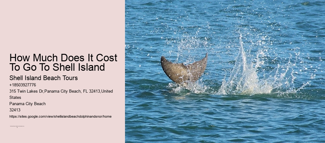 How Much Does It Cost To Go To Shell Island