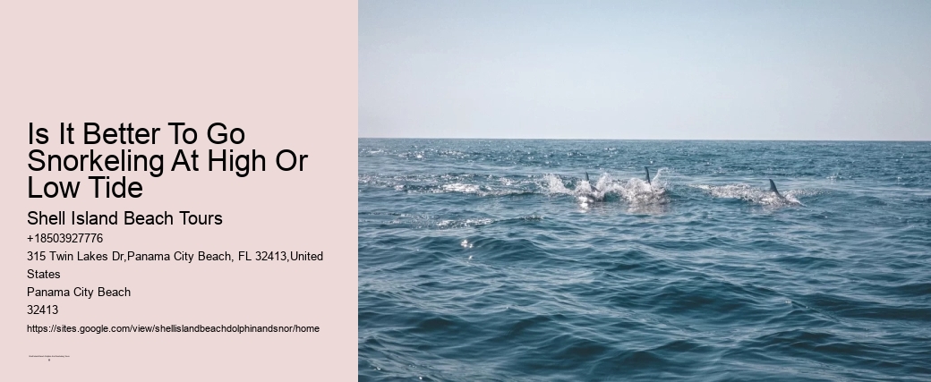 Is It Better To Go Snorkeling At High Or Low Tide