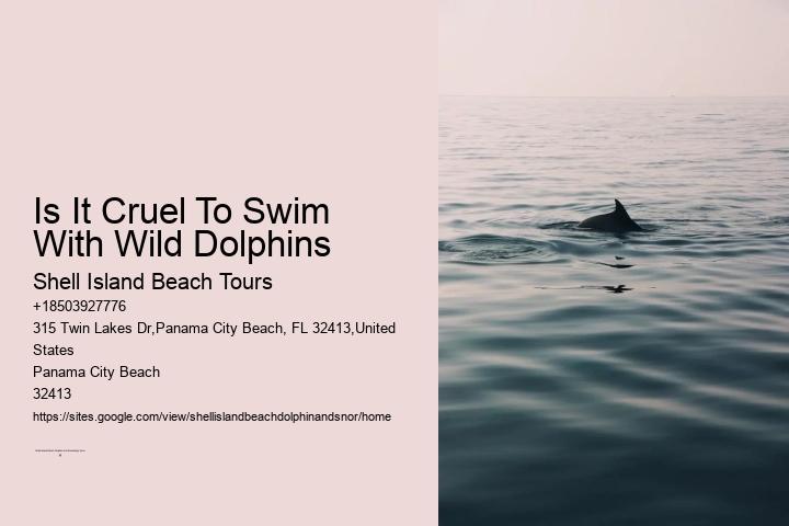 Is It Cruel To Swim With Wild Dolphins
