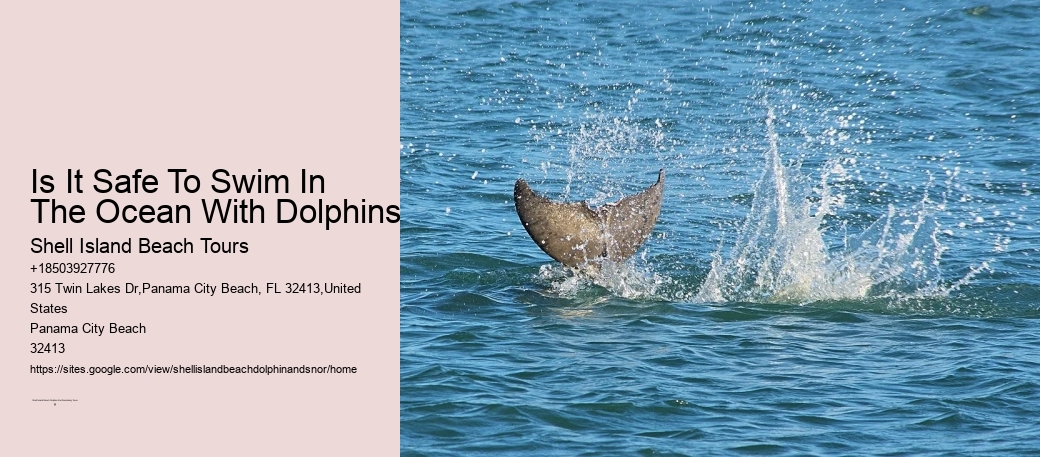 Snorkel Essence Expeditions