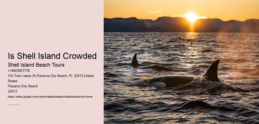 Is Shell Island Crowded