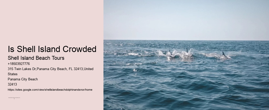 Shell Island Panama City Beach