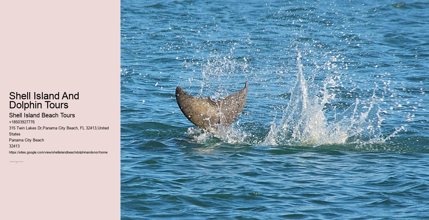 Florida Laws On Harvesting Marine Life And Sea Shell Collecting