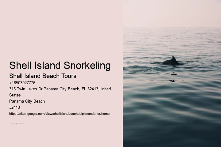 Shell Island Snorkeling