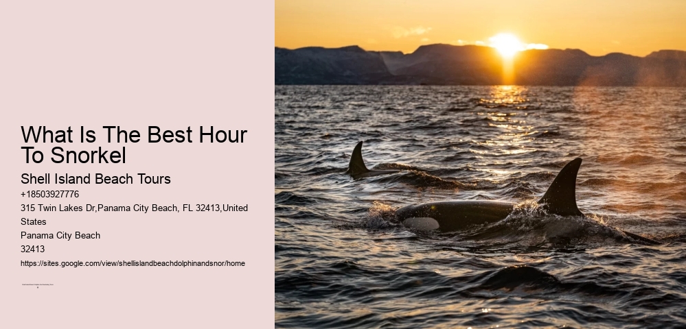 What Is The Best Hour To Snorkel