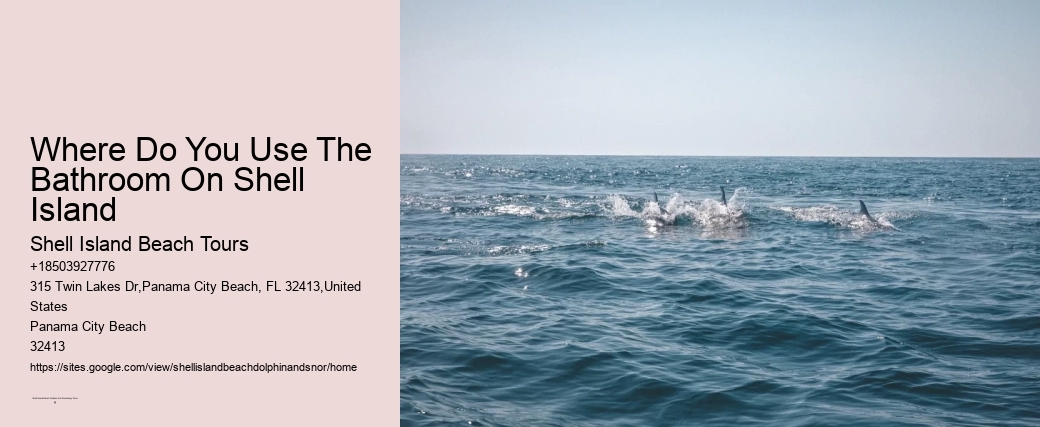 Where Do You Use The Bathroom On Shell Island