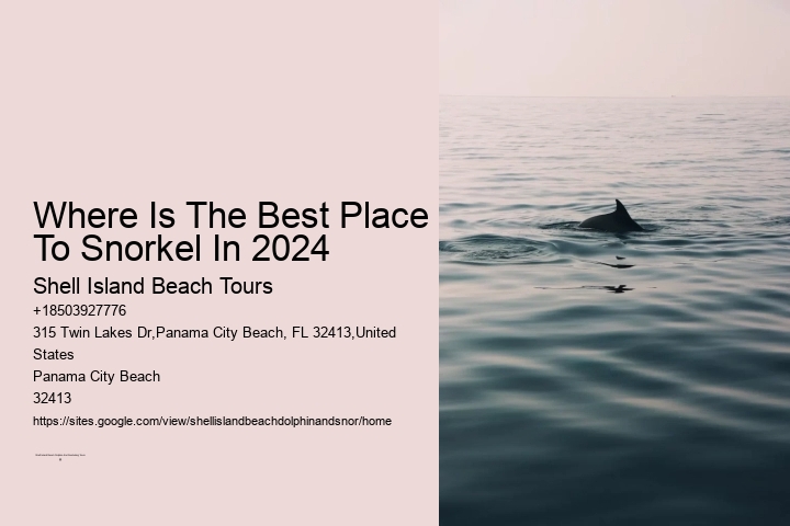 Where Is The Best Place To Snorkel In 2024