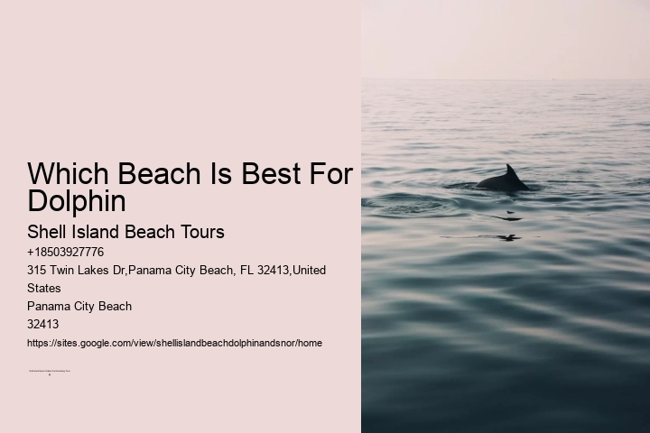 Which Beach Is Best For Dolphin